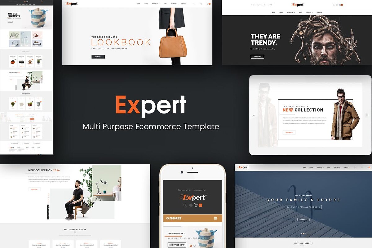 Expert logo with screenshots of the website